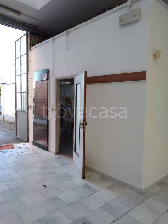 immagine annuncio 4 di 14