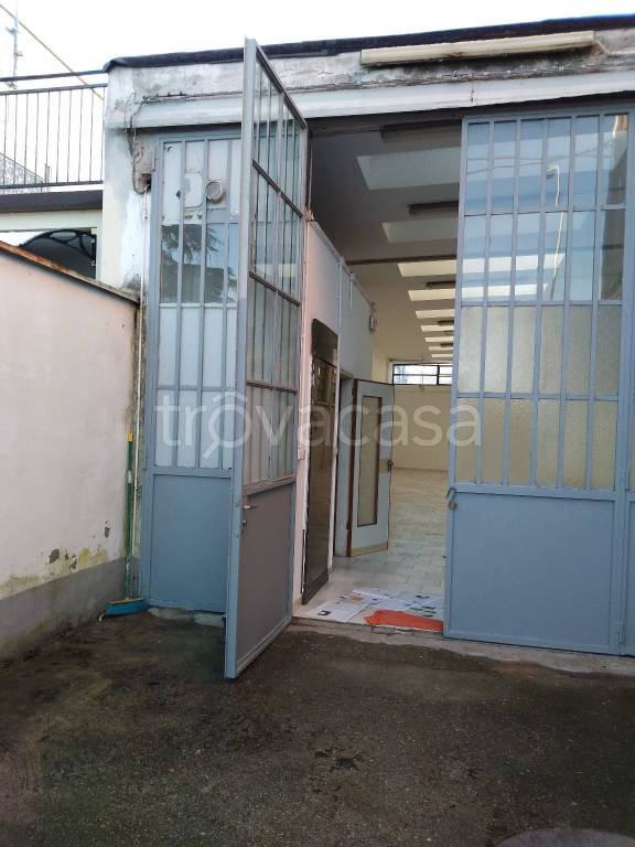 immagine annuncio 12 di 14