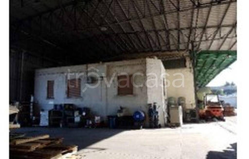 immagine annuncio 2 di 13