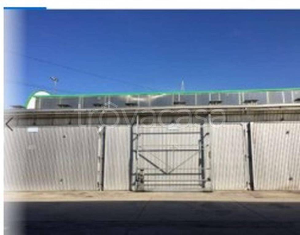 immagine annuncio 4 di 13