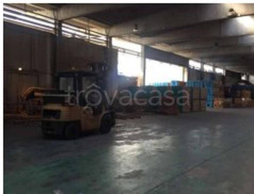 immagine annuncio 6 di 13