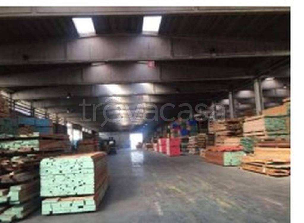 immagine annuncio 7 di 13