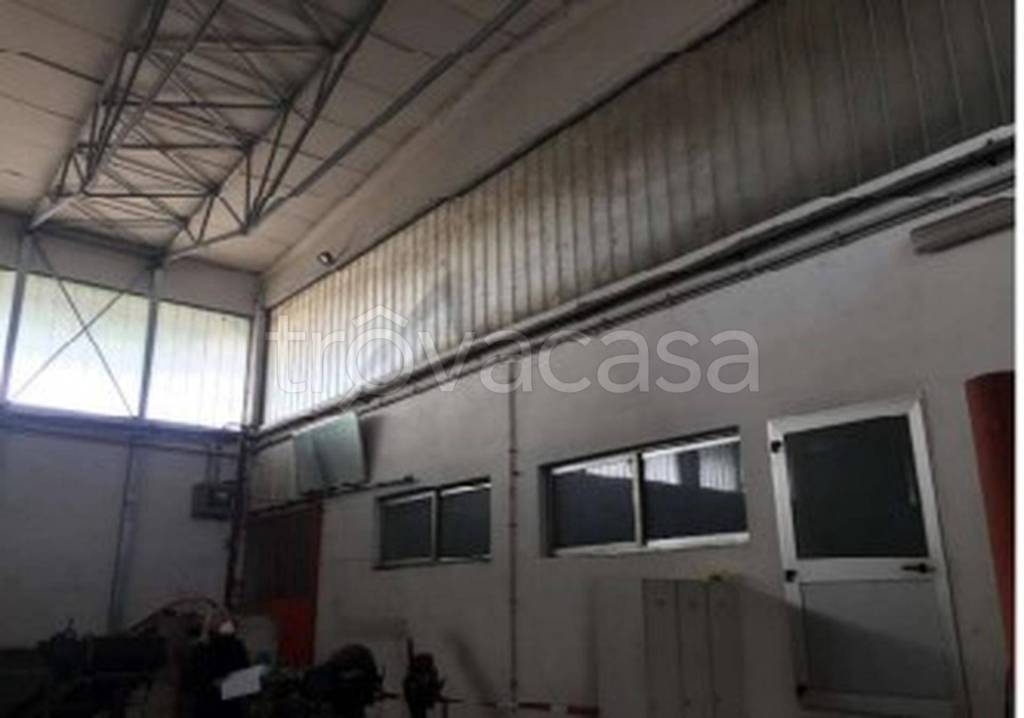 immagine annuncio 12 di 13