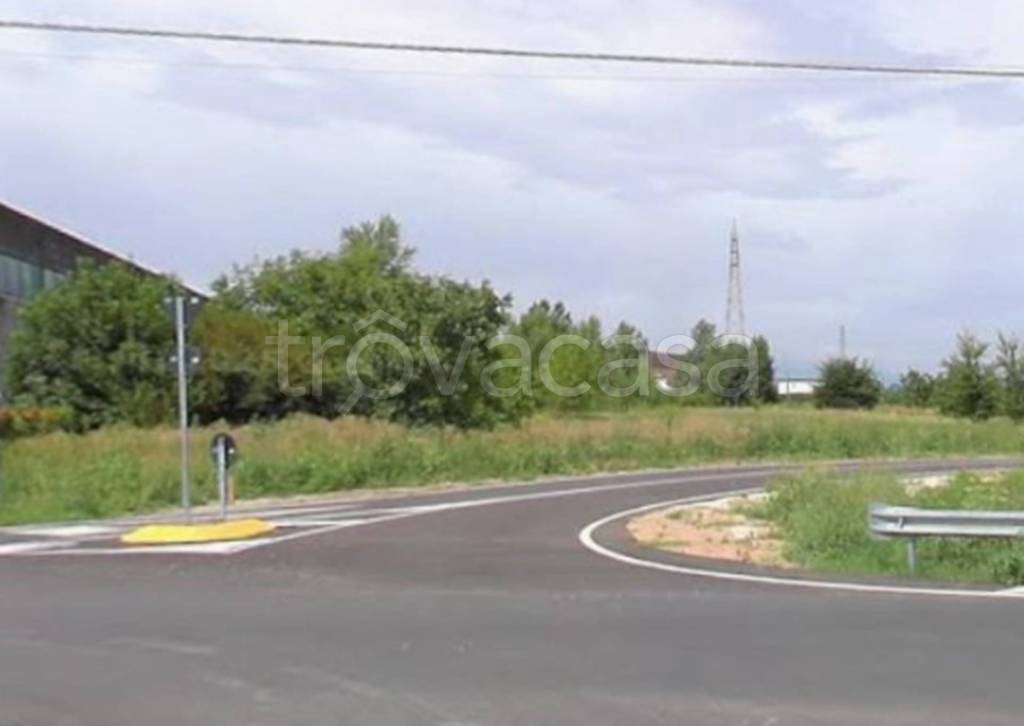 immagine annuncio 5 di 11