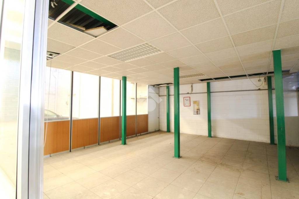 immagine annuncio 11 di 13