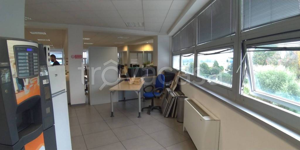 immagine annuncio 12 di 13