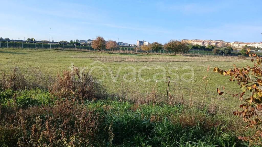 immagine annuncio 1 di 6