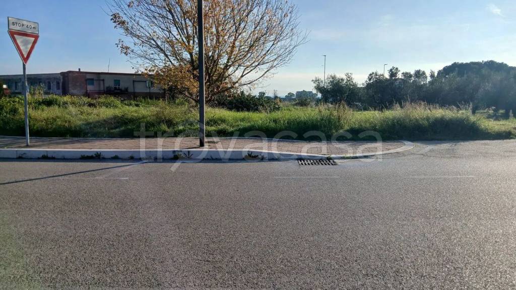 immagine annuncio 2 di 6