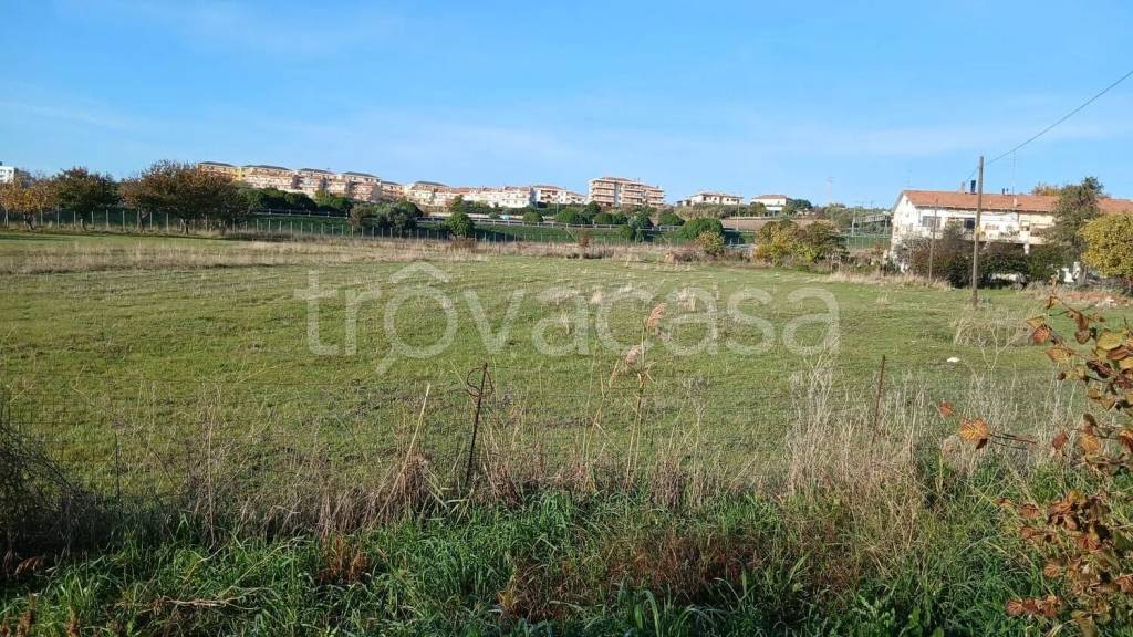 immagine annuncio 3 di 6