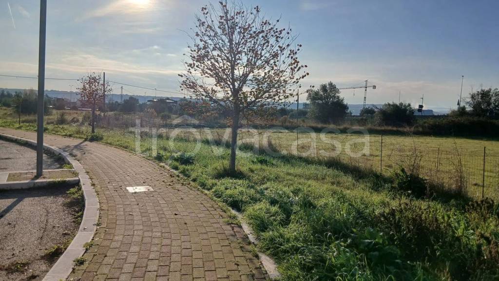 immagine annuncio 4 di 6