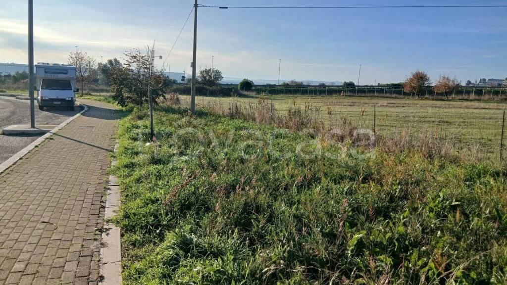 immagine annuncio 5 di 6