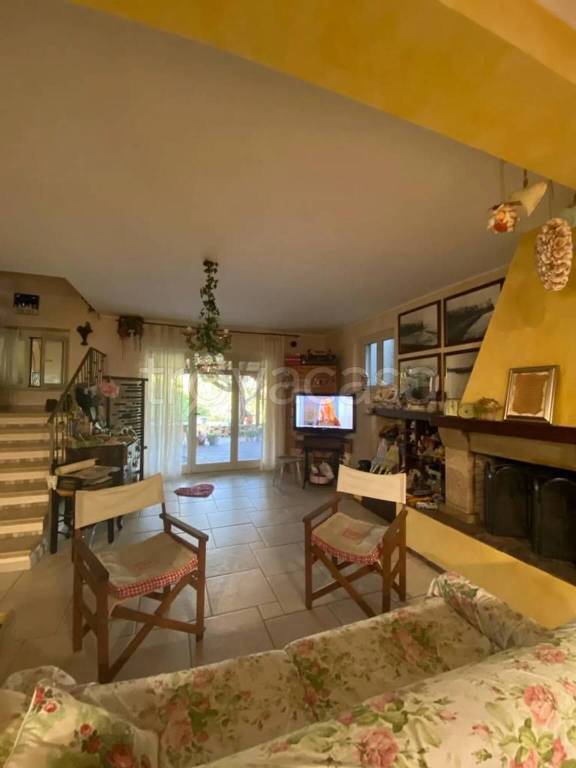 immagine annuncio 2 di 13