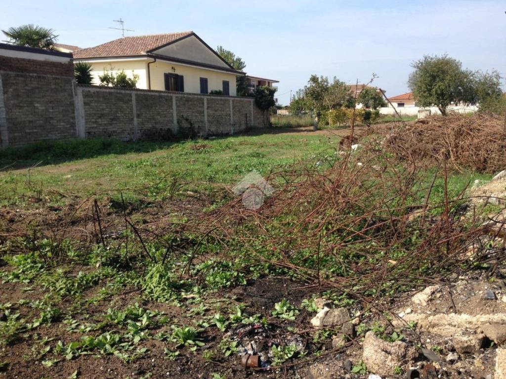 immagine annuncio 3 di 13