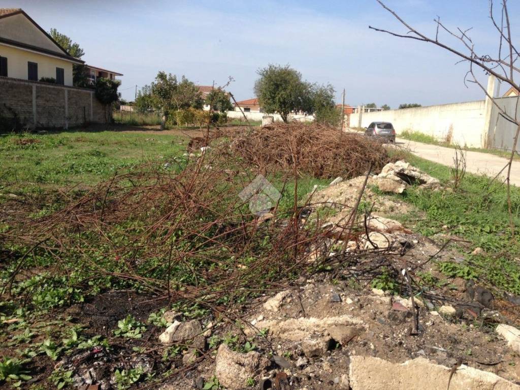 immagine annuncio 6 di 13