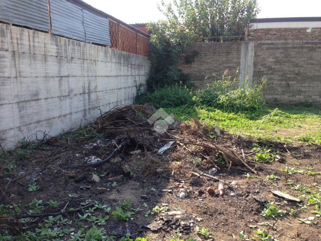 immagine annuncio 12 di 13