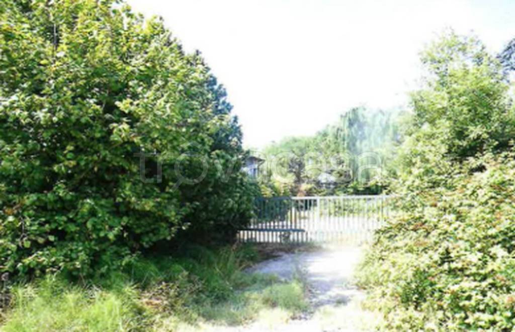 immagine annuncio 6 di 12