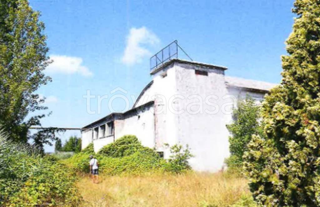 immagine annuncio 7 di 12