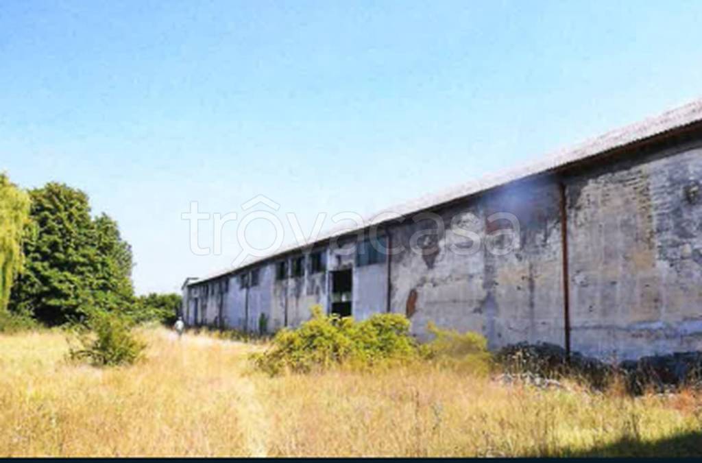 immagine annuncio 8 di 12