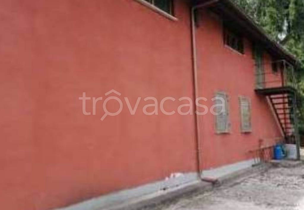 immagine annuncio 5 di 13