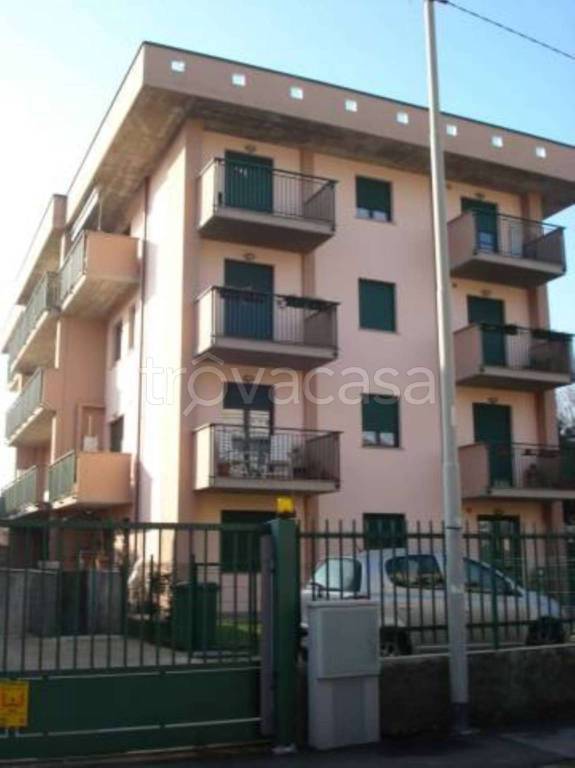 immagine annuncio 10 di 12