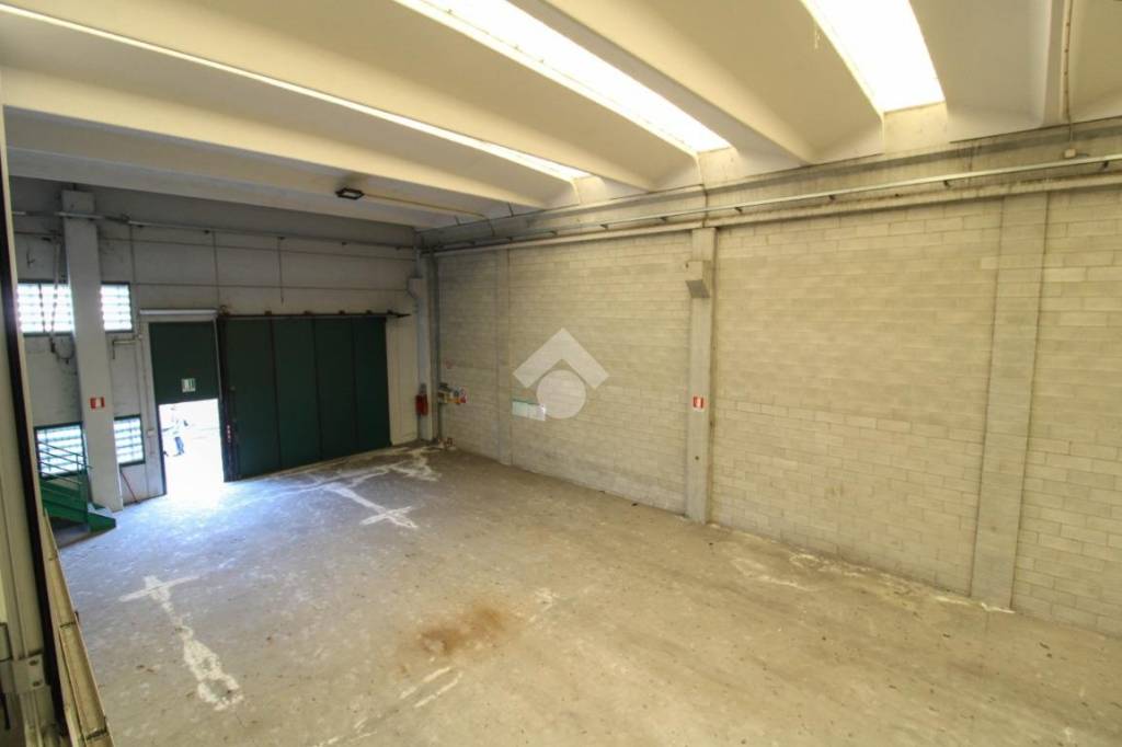 immagine annuncio 9 di 13