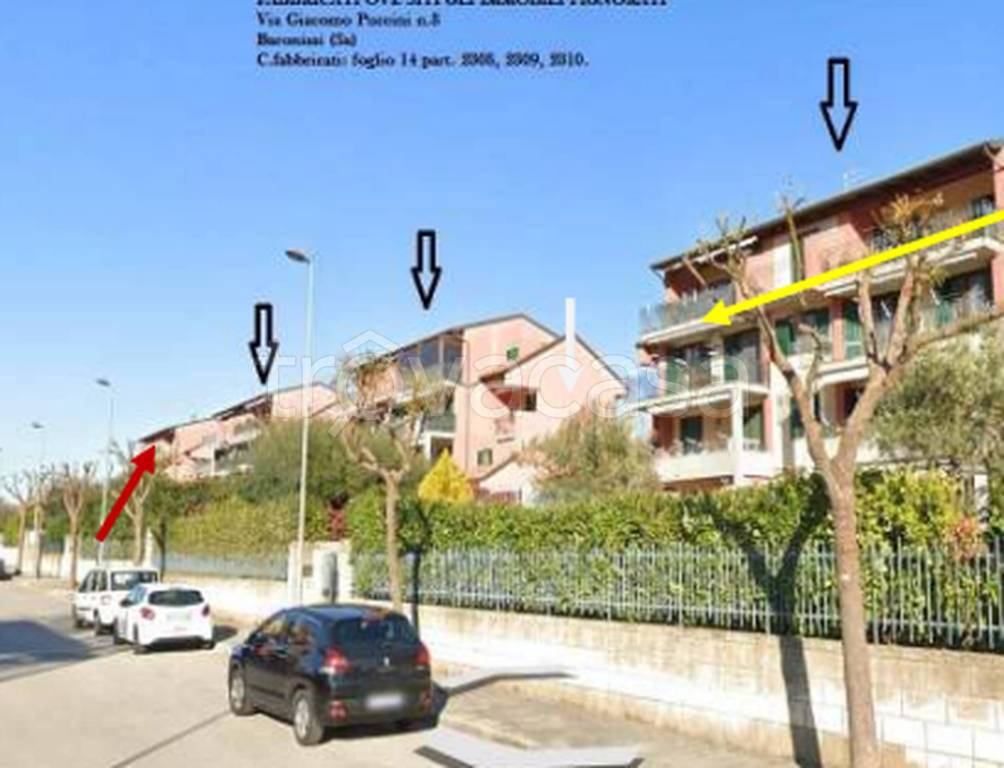 immagine annuncio 5 di 14