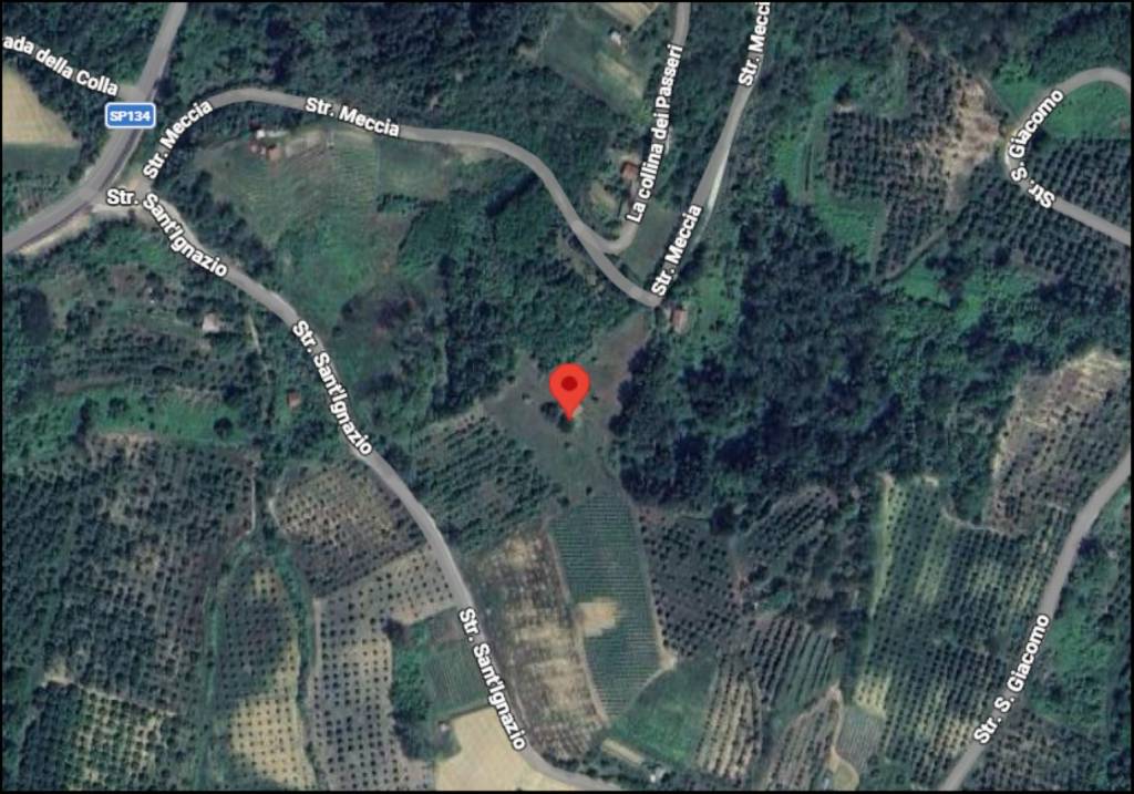 immagine annuncio 11 di 12