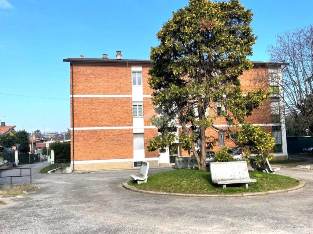 immagine annuncio 2 di 15