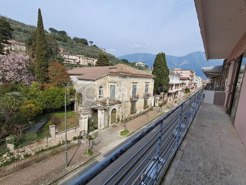 immagine annuncio 11 di 14