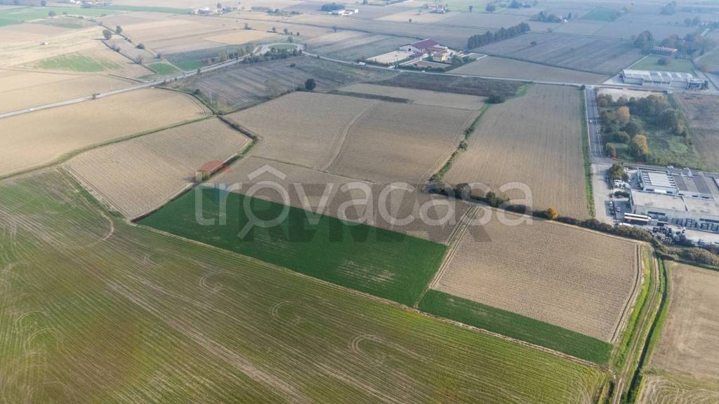 immagine annuncio 2 di 6