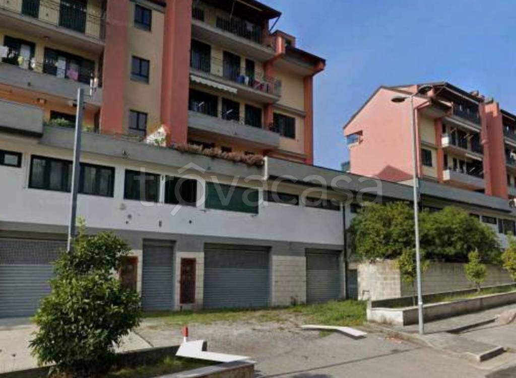 immagine annuncio 2 di 12