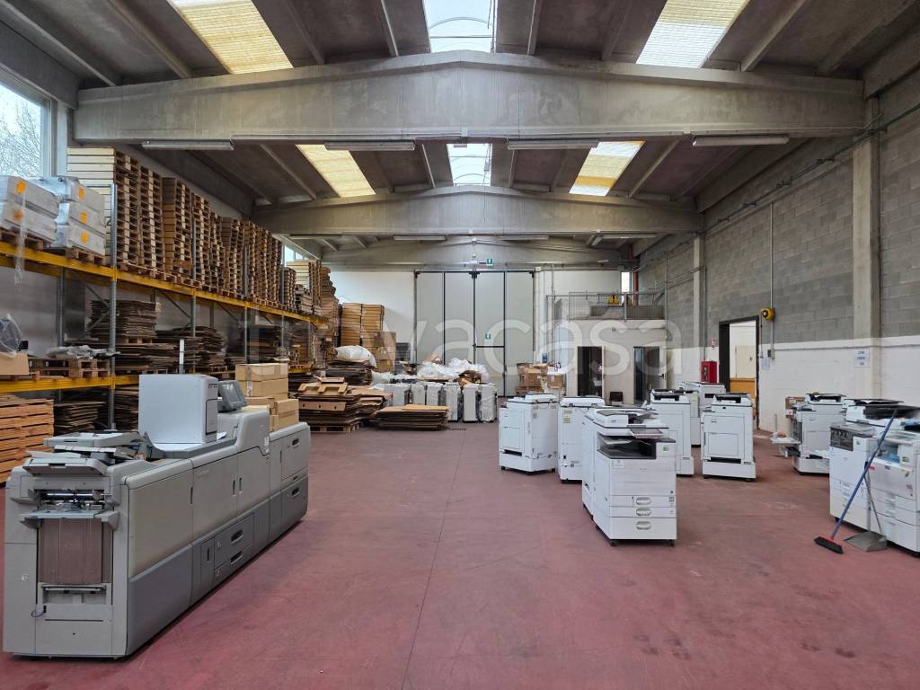 immagine annuncio 6 di 11