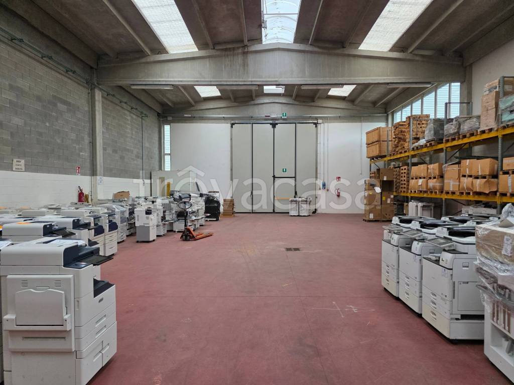 immagine annuncio 8 di 11