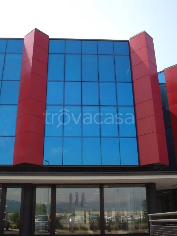 immagine annuncio 12 di 14