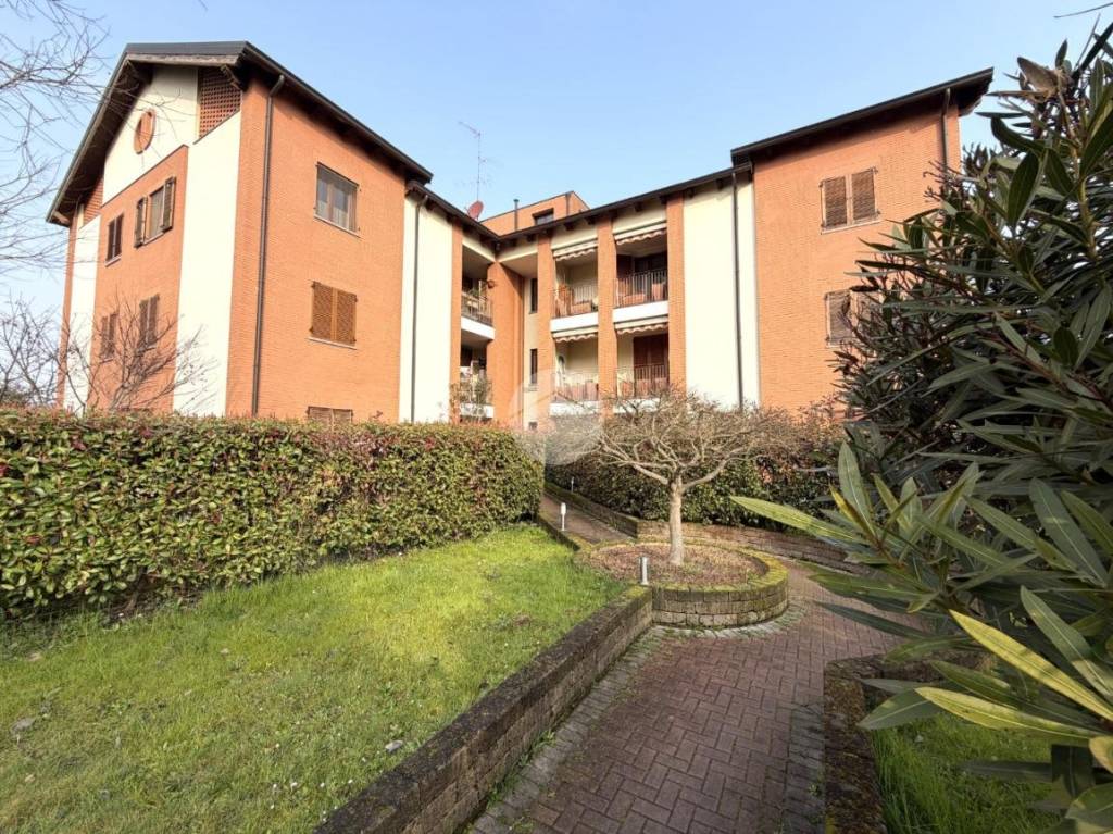 immagine annuncio 1 di 15