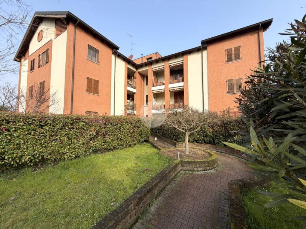 immagine annuncio 14 di 15