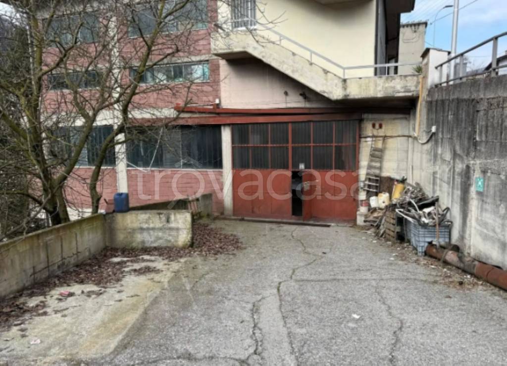 immagine annuncio 3 di 11