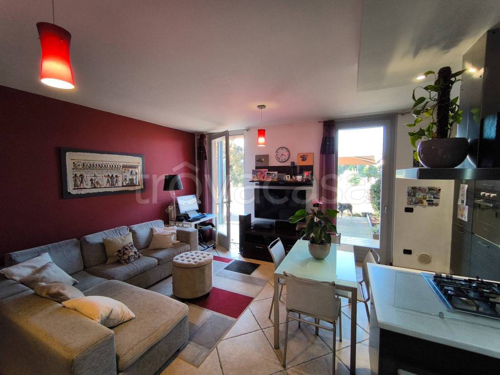 immagine annuncio 3 di 15