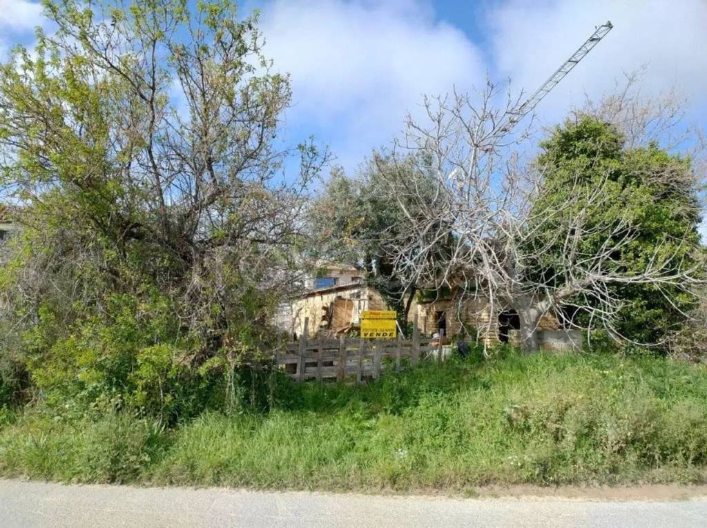 immagine annuncio 6 di 8