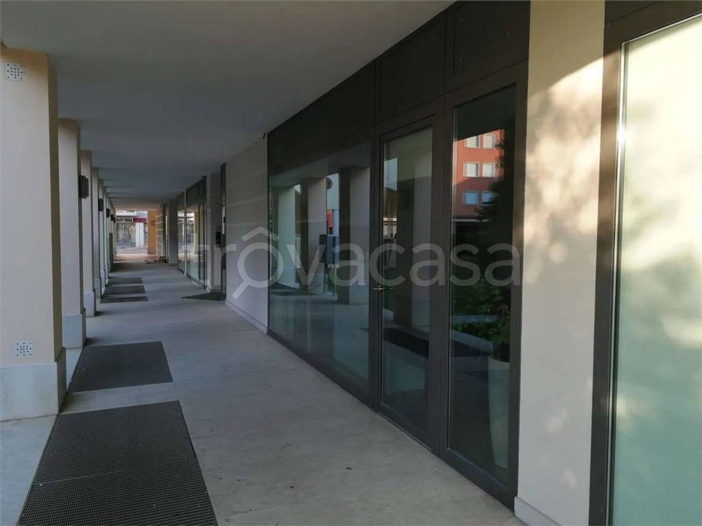 immagine annuncio 5 di 7