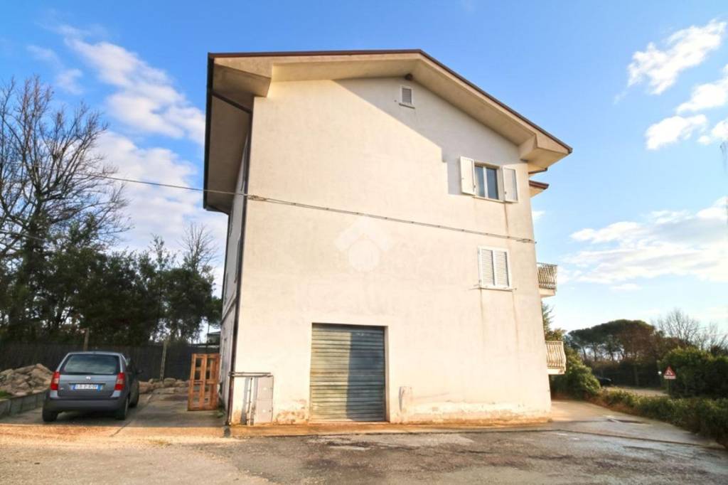 immagine annuncio 11 di 12