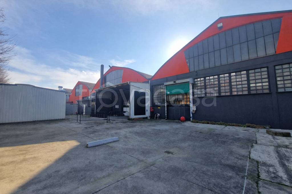 immagine annuncio 9 di 15