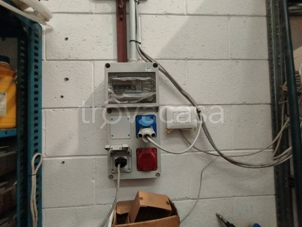 immagine annuncio 11 di 15