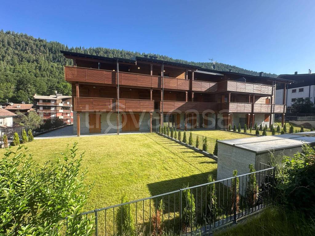 immagine annuncio 9 di 15