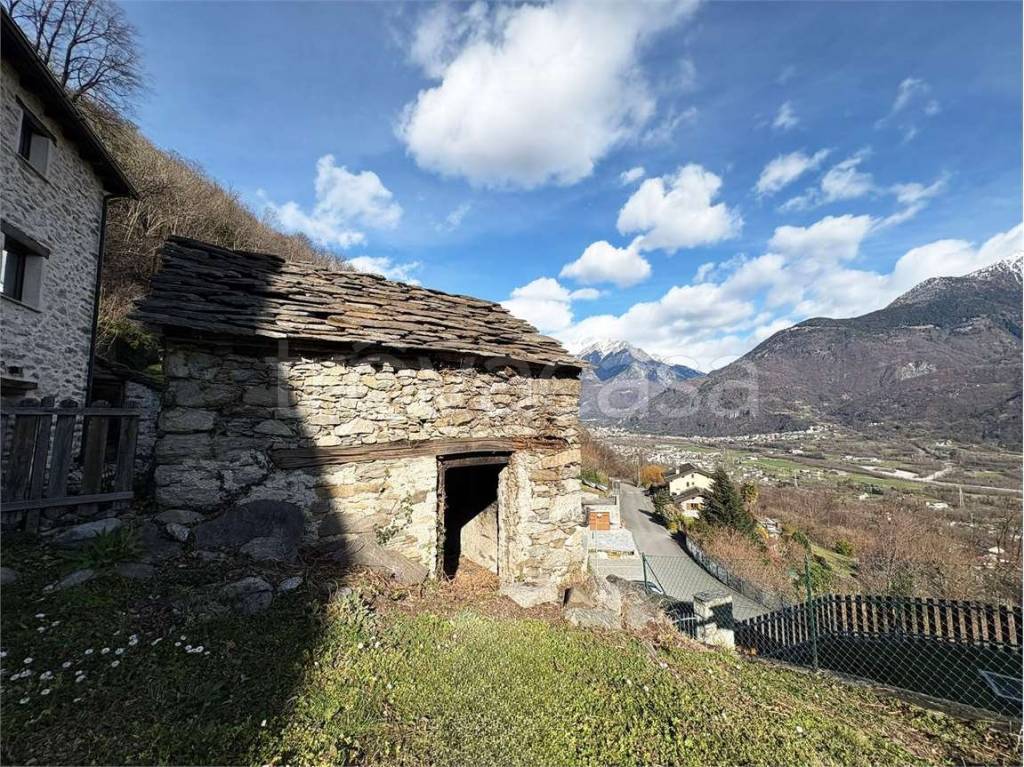 immagine annuncio 4 di 8