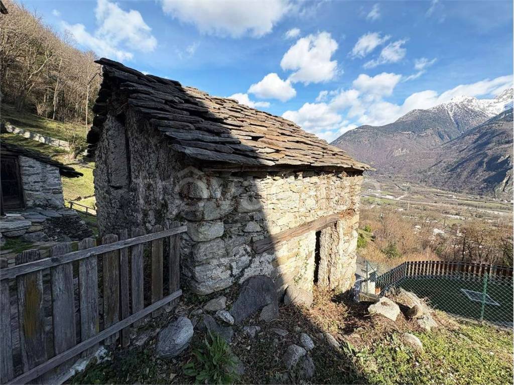 immagine annuncio 5 di 8