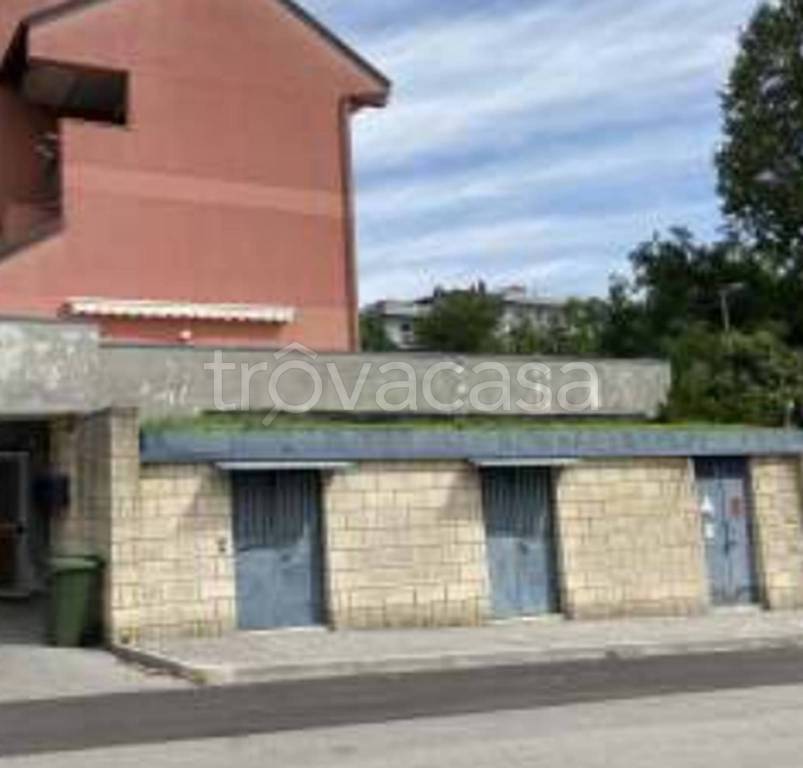 immagine annuncio 3 di 12