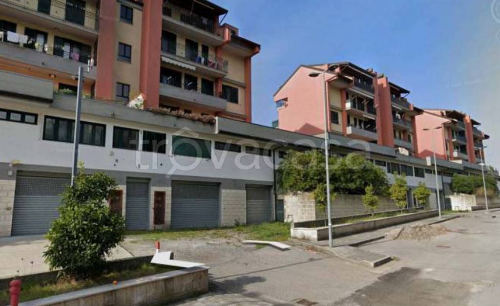 immagine annuncio 4 di 12