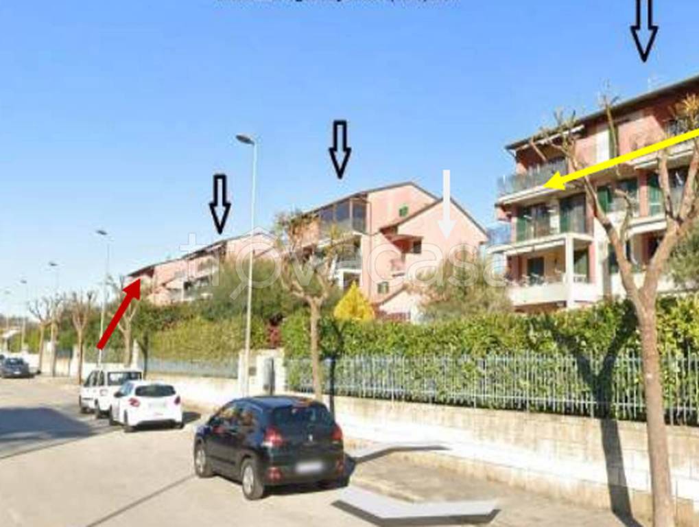 immagine annuncio 5 di 12