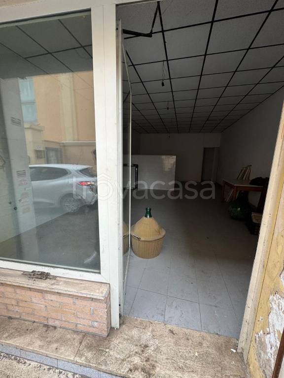 immagine annuncio 5 di 13